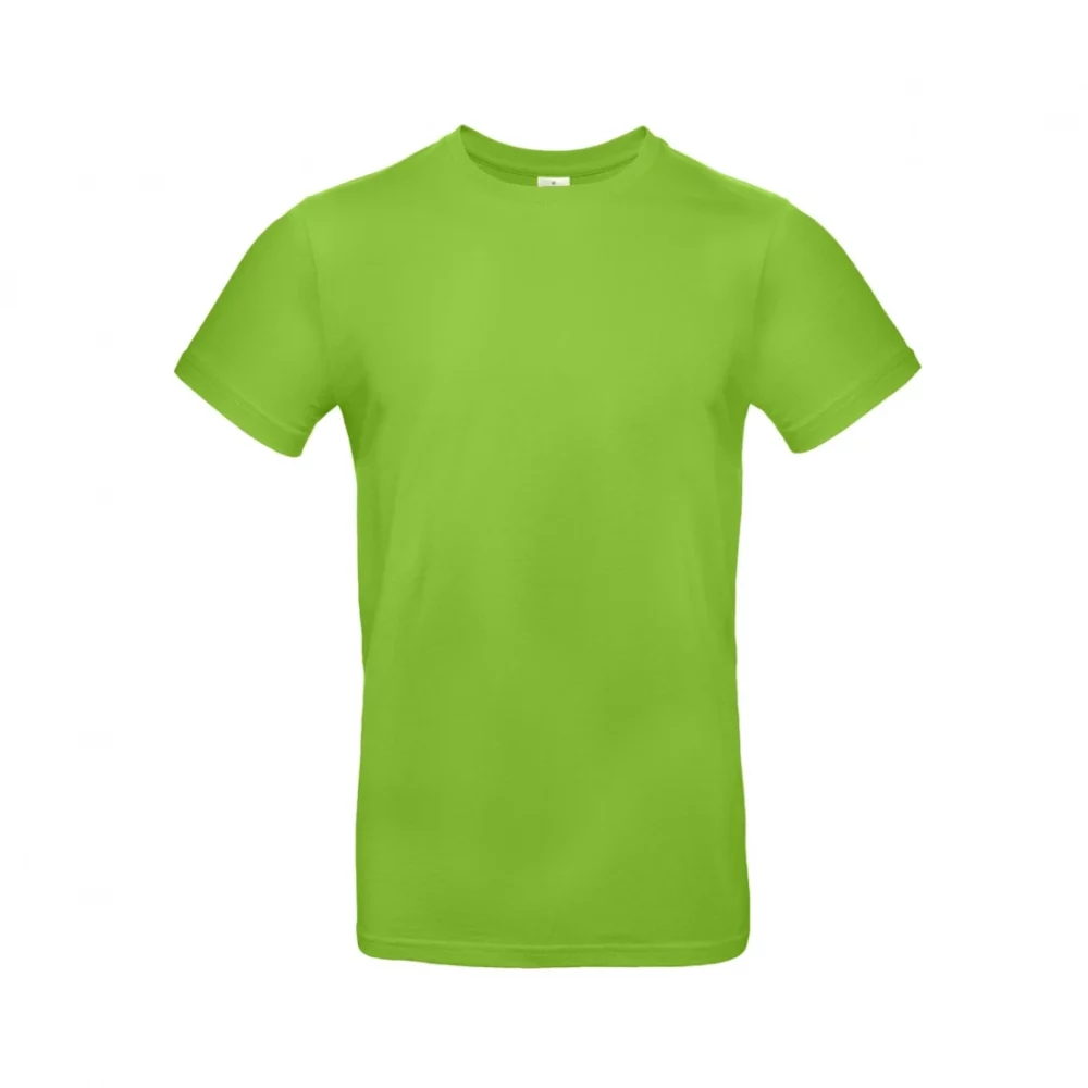 T-shirt coton épais E190 coloris Orchid Green, à plat vue de face